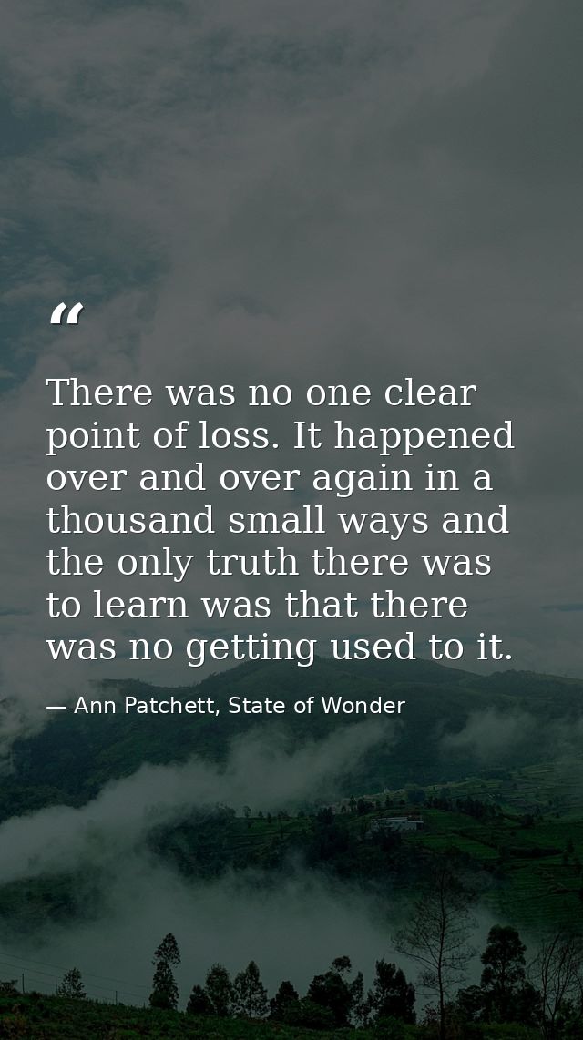 There was no one clear point of loss. It happened over and over again in a thousand small ways and the only truth there  — Ann Patchett, State of Wonder