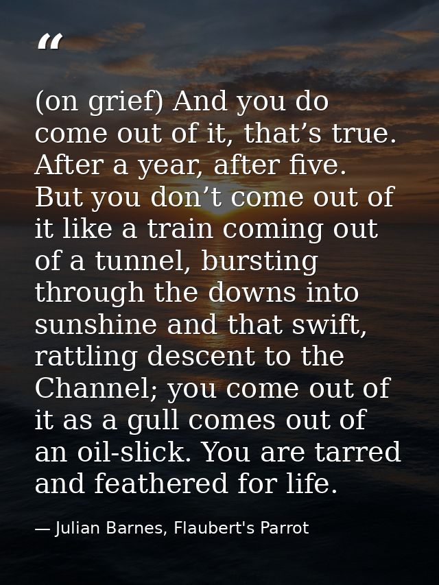 (on grief) And you do come out of it, that’s true. After a year, after five. But you don’t come out of it like a train c — Julian Barnes, Flaubert's Parrot