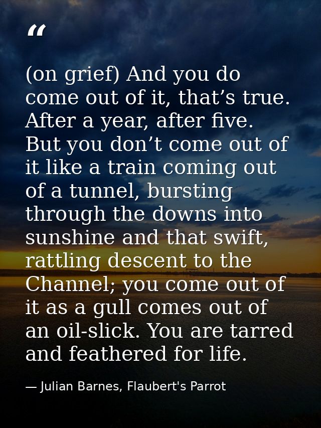 (on grief) And you do come out of it, that’s true. After a year, after five. But you don’t come out of it like a train c — Julian Barnes, Flaubert's Parrot