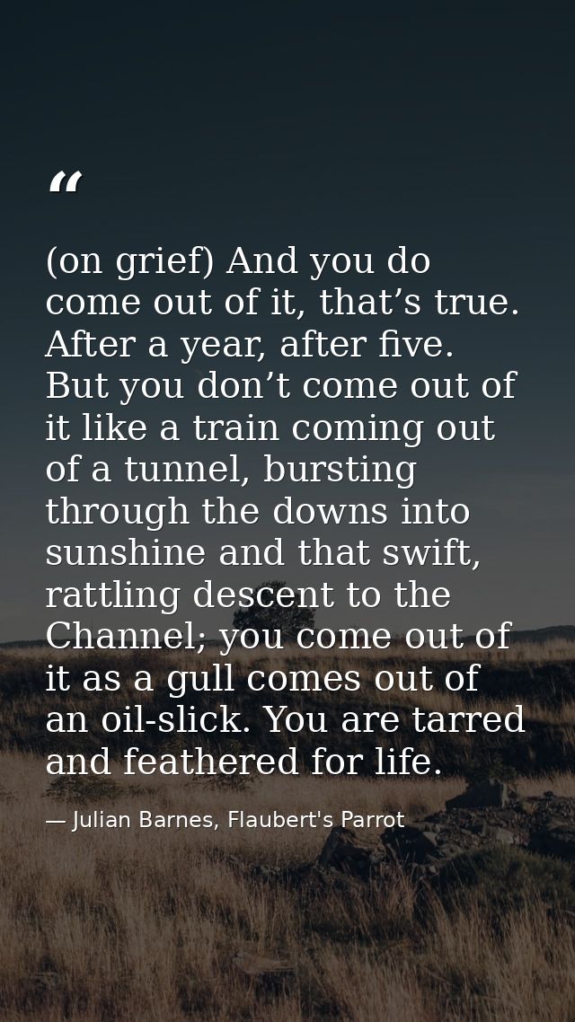 (on grief) And you do come out of it, that’s true. After a year, after five. But you don’t come out of it like a train c — Julian Barnes, Flaubert's Parrot