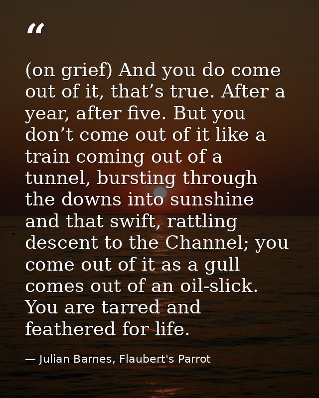(on grief) And you do come out of it, that’s true. After a year, after five. But you don’t come out of it like a train c — Julian Barnes, Flaubert's Parrot