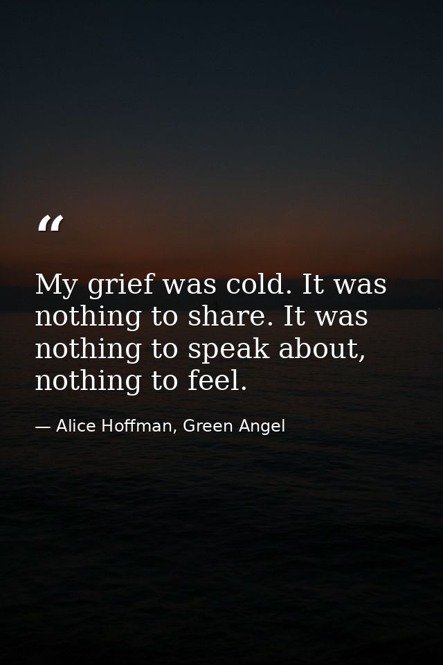 My grief was cold. It was nothing to share. It was nothing to speak about, nothing to feel. — Alice Hoffman, Green Angel