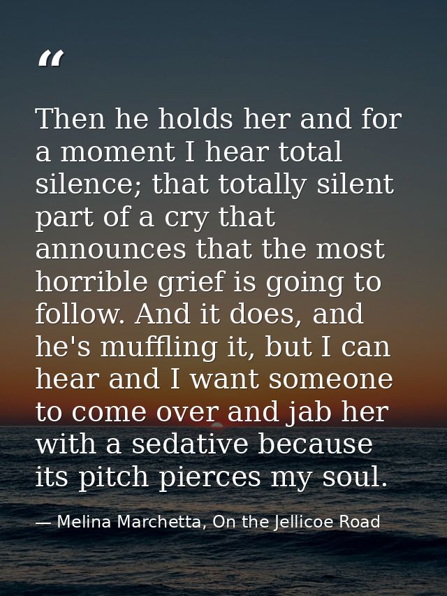 Then he holds her and for a moment I hear total silence; that totally silent part of a cry that announces that the most  — Melina Marchetta, On the Jellicoe Road