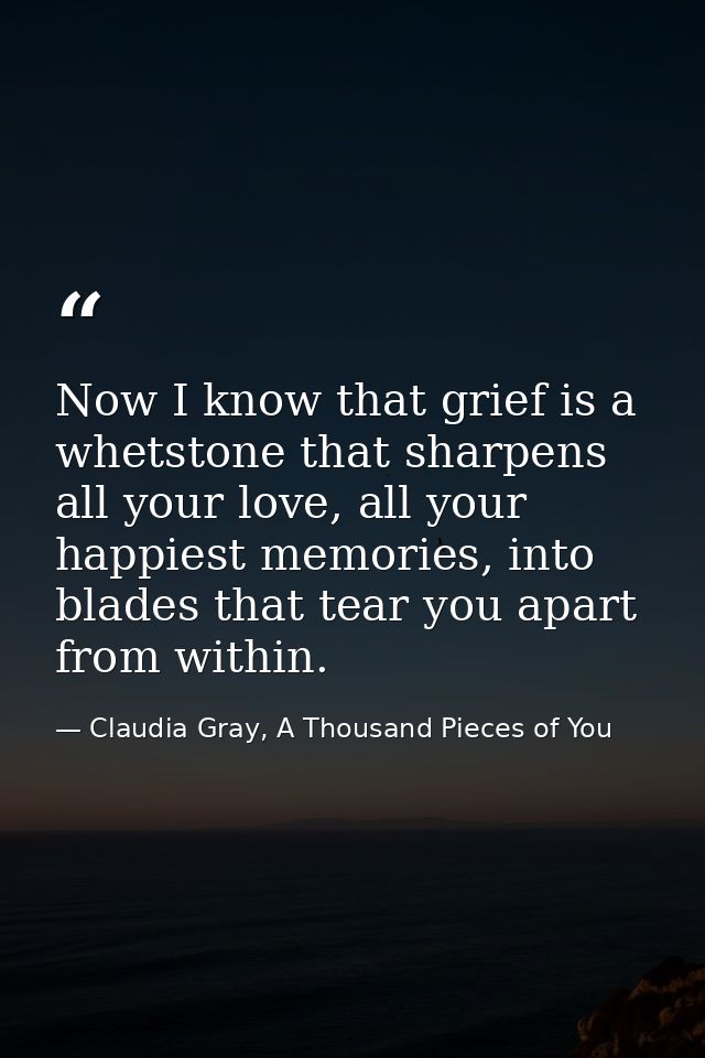 Now I know that grief is a whetstone that sharpens all your love, all your happiest memories, into blades that tear you  — Claudia Gray, A Thousand Pieces of You