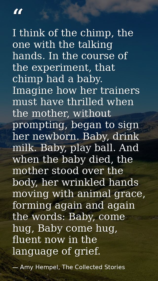 I think of the chimp, the one with the talking hands. In the course of the experiment, that chimp had a baby. Imagine ho — Amy Hempel, The Collected Stories