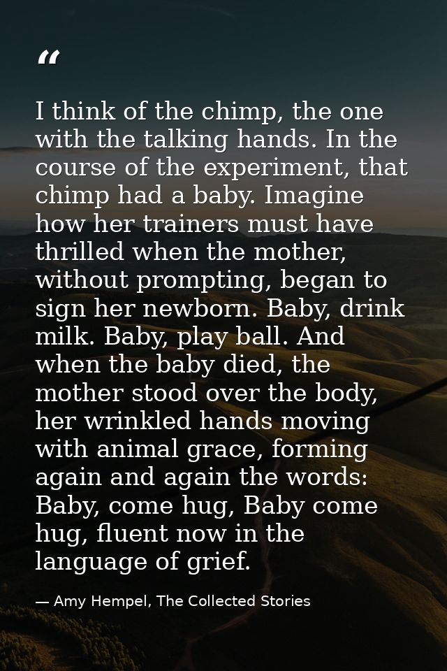 I think of the chimp, the one with the talking hands. In the course of the experiment, that chimp had a baby. Imagine ho — Amy Hempel, The Collected Stories