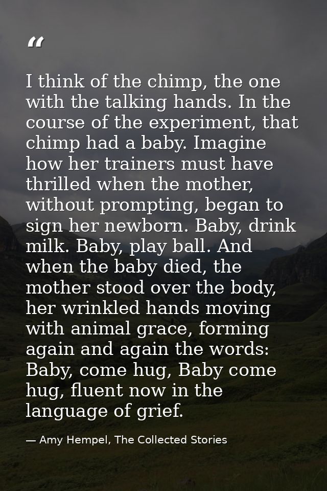 I think of the chimp, the one with the talking hands. In the course of the experiment, that chimp had a baby. Imagine ho — Amy Hempel, The Collected Stories