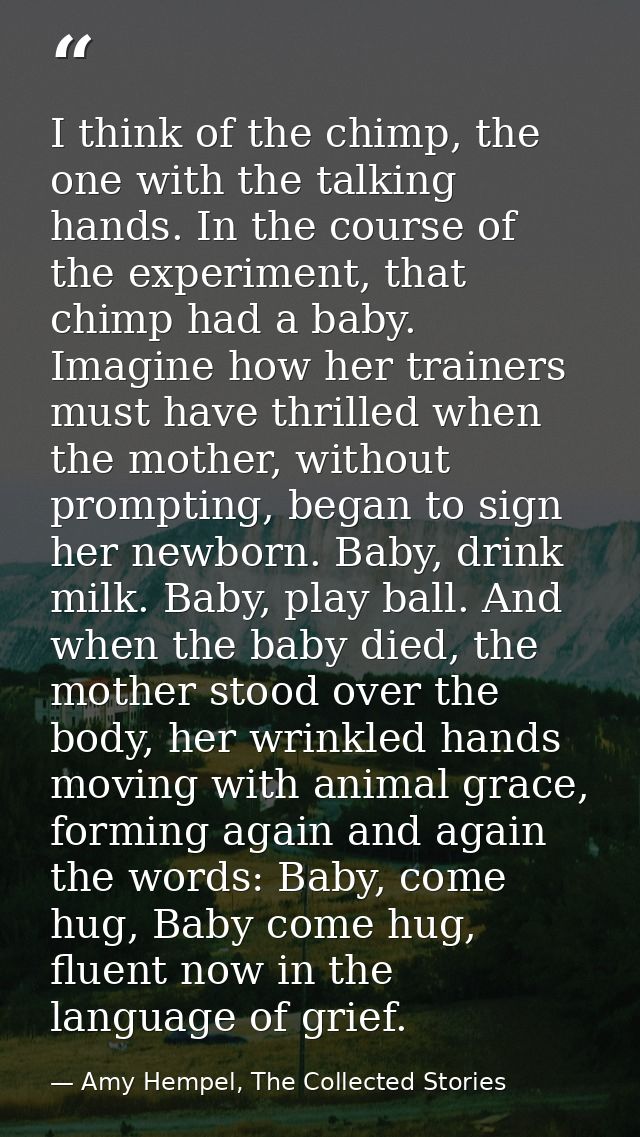 I think of the chimp, the one with the talking hands. In the course of the experiment, that chimp had a baby. Imagine ho — Amy Hempel, The Collected Stories