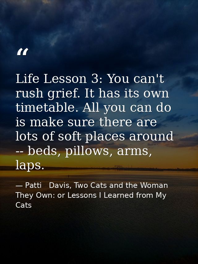 Life Lesson 3: You can't rush grief. It has its own timetable. All you can do is make sure there are lots of soft places — Patti   Davis, Two Cats and the Woman They Own: or Lessons I Learned from My Cats