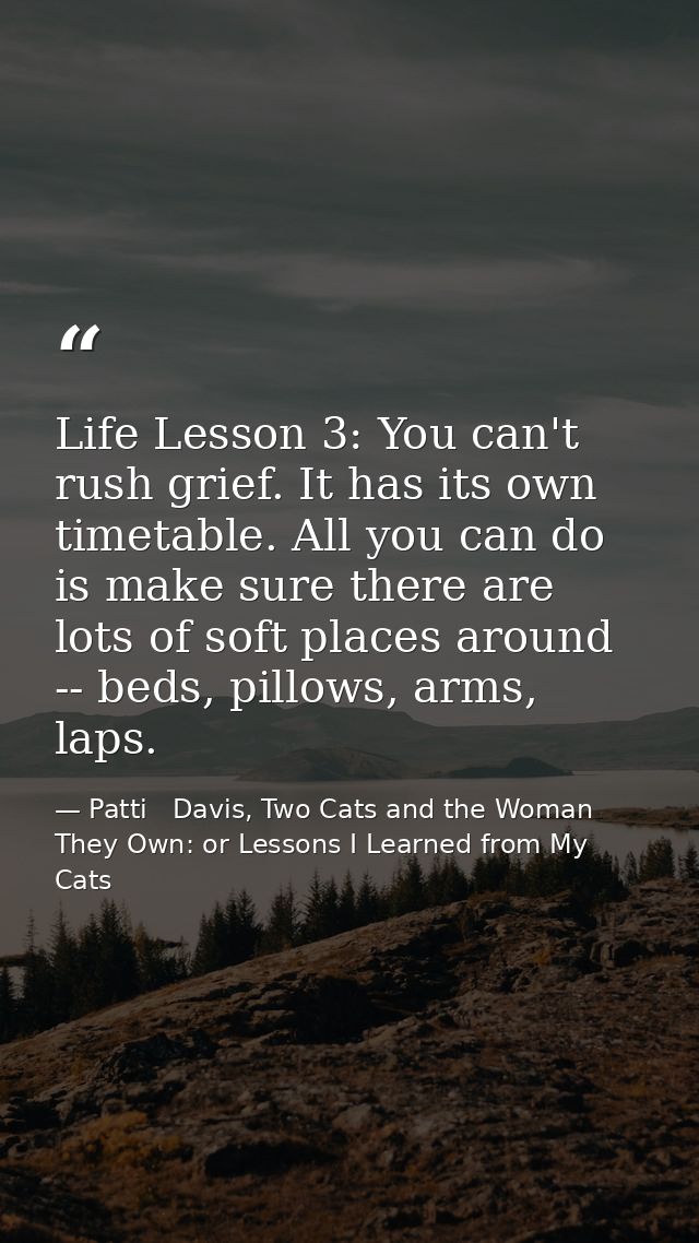 Life Lesson 3: You can't rush grief. It has its own timetable. All you can do is make sure there are lots of soft places — Patti   Davis, Two Cats and the Woman They Own: or Lessons I Learned from My Cats