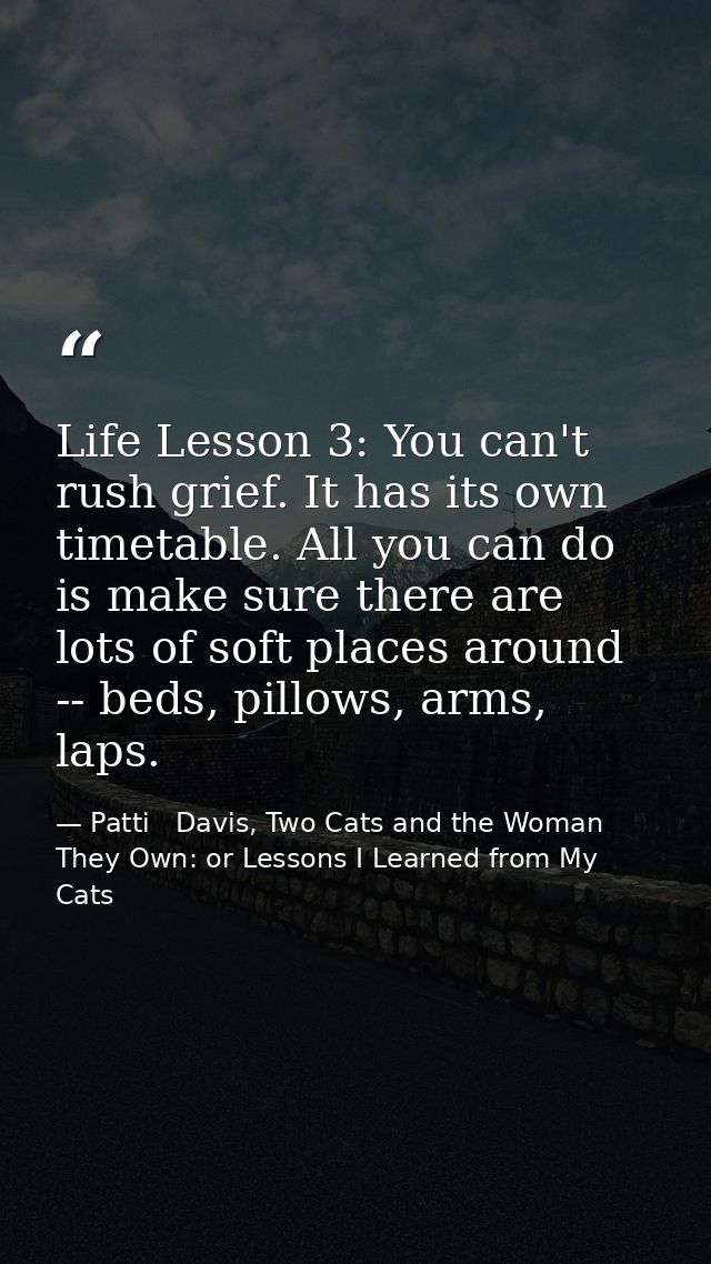 Life Lesson 3: You can't rush grief. It has its own timetable. All you can do is make sure there are lots of soft places — Patti   Davis, Two Cats and the Woman They Own: or Lessons I Learned from My Cats