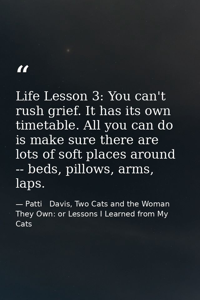 Life Lesson 3: You can't rush grief. It has its own timetable. All you can do is make sure there are lots of soft places — Patti   Davis, Two Cats and the Woman They Own: or Lessons I Learned from My Cats
