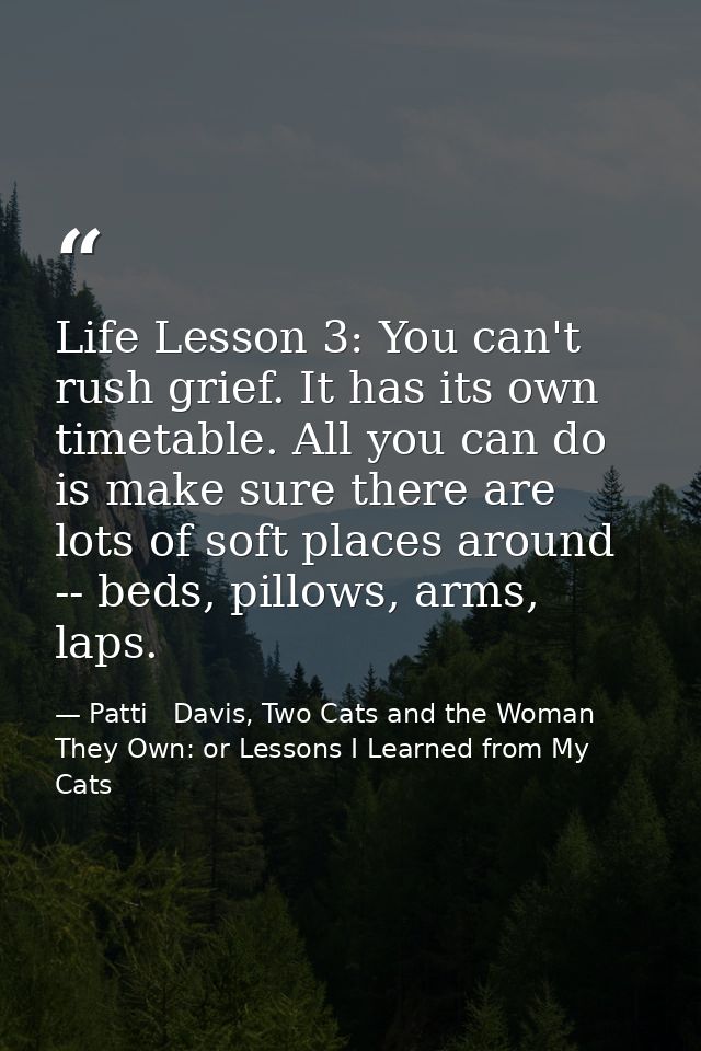 Life Lesson 3: You can't rush grief. It has its own timetable. All you can do is make sure there are lots of soft places — Patti   Davis, Two Cats and the Woman They Own: or Lessons I Learned from My Cats