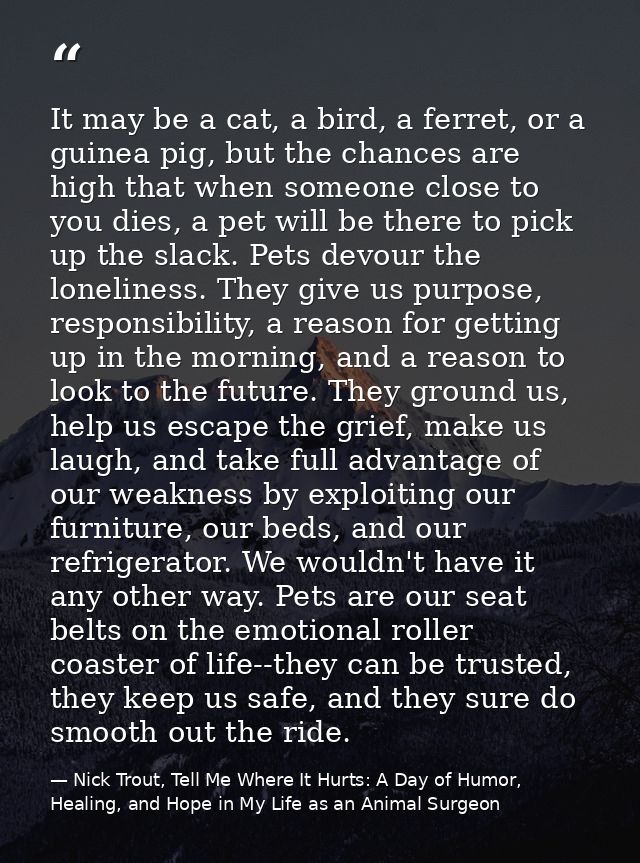 It may be a cat, a bird, a ferret, or a guinea pig, but the chances are high that when someone close to you dies, a pet  — Nick Trout, Tell Me Where It Hurts: A Day of Humor, Healing, and Hope in My Life as an Animal Surgeon