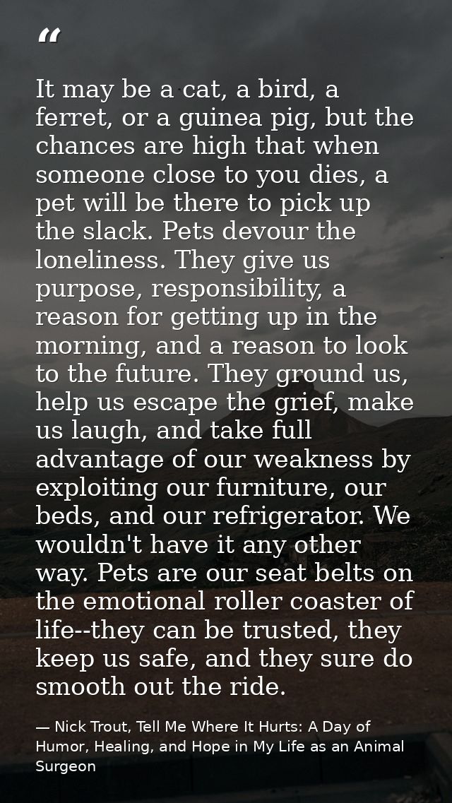 It may be a cat, a bird, a ferret, or a guinea pig, but the chances are high that when someone close to you dies, a pet  — Nick Trout, Tell Me Where It Hurts: A Day of Humor, Healing, and Hope in My Life as an Animal Surgeon