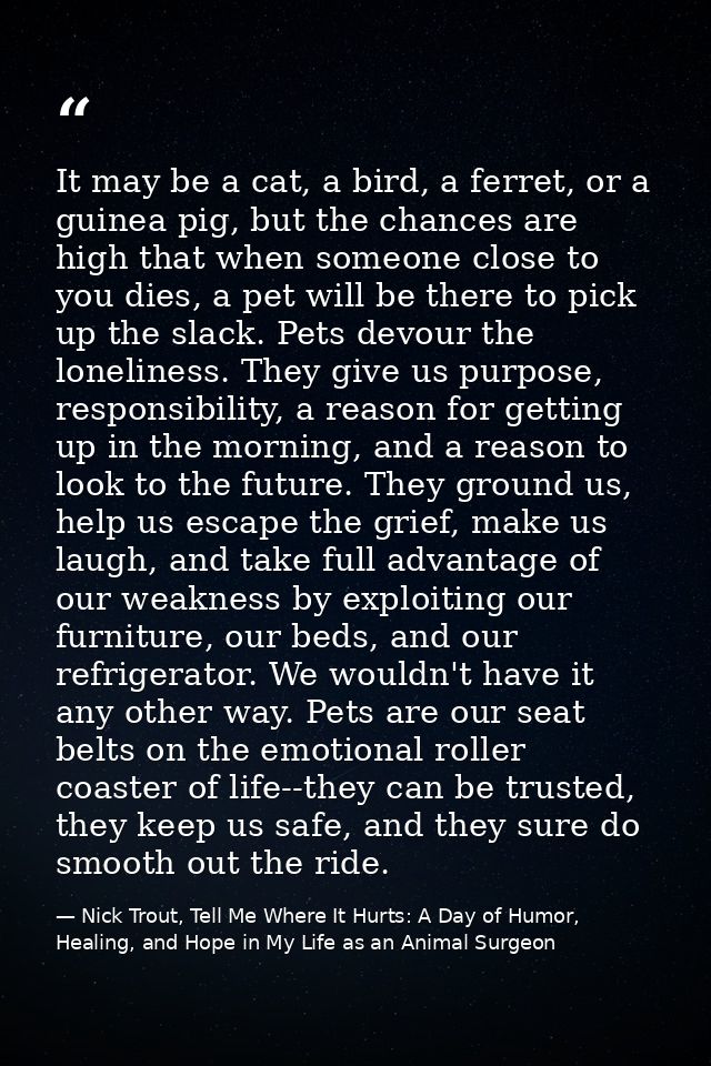 It may be a cat, a bird, a ferret, or a guinea pig, but the chances are high that when someone close to you dies, a pet  — Nick Trout, Tell Me Where It Hurts: A Day of Humor, Healing, and Hope in My Life as an Animal Surgeon