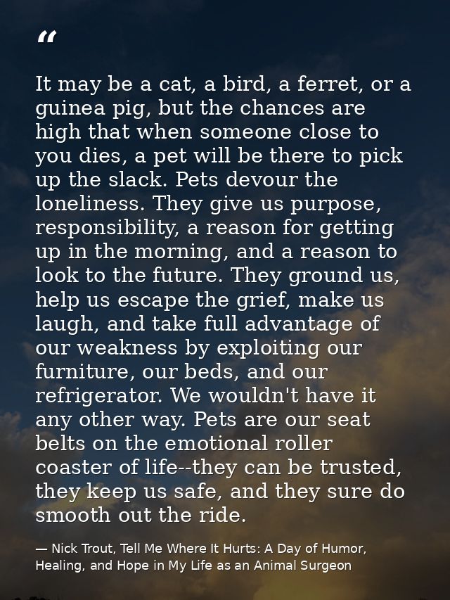 It may be a cat, a bird, a ferret, or a guinea pig, but the chances are high that when someone close to you dies, a pet  — Nick Trout, Tell Me Where It Hurts: A Day of Humor, Healing, and Hope in My Life as an Animal Surgeon