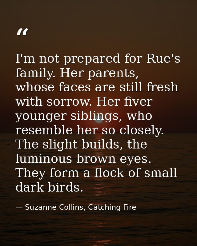 I'm not prepared for Rue's family. Her parents, whose faces are still fresh with sorrow. Her fiver younger siblings, who — Suzanne Collins, Catching Fire