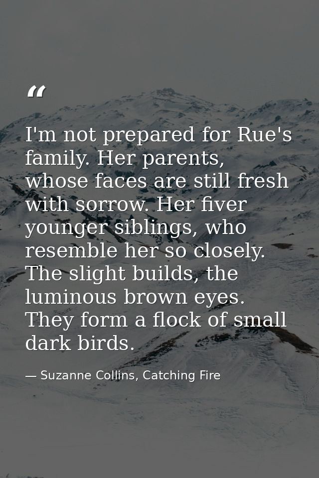 I'm not prepared for Rue's family. Her parents, whose faces are still fresh with sorrow. Her fiver younger siblings, who — Suzanne Collins, Catching Fire