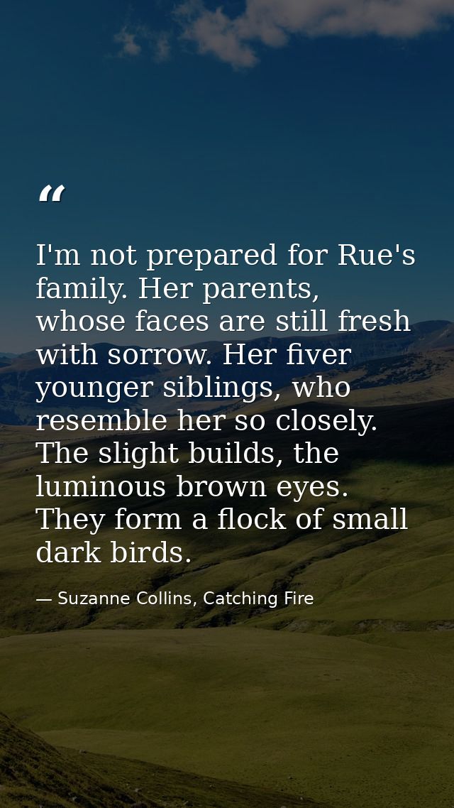 I'm not prepared for Rue's family. Her parents, whose faces are still fresh with sorrow. Her fiver younger siblings, who — Suzanne Collins, Catching Fire