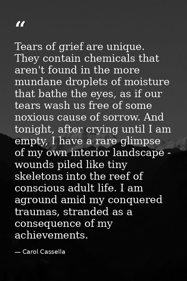 Tears of grief are unique. They contain chemicals that aren't found in the more mundane droplets of moisture that bathe  — Carol Cassella
