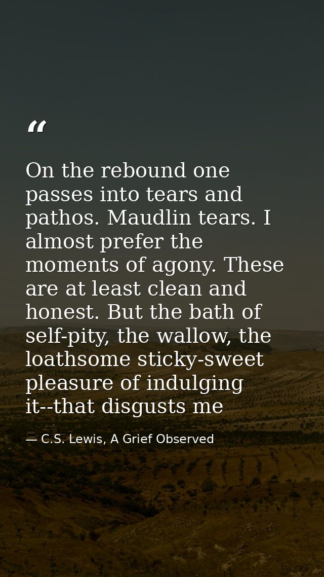 On the rebound one passes into tears and pathos. Maudlin tears. I almost prefer the moments of agony. These are at least — C.S. Lewis, A Grief Observed