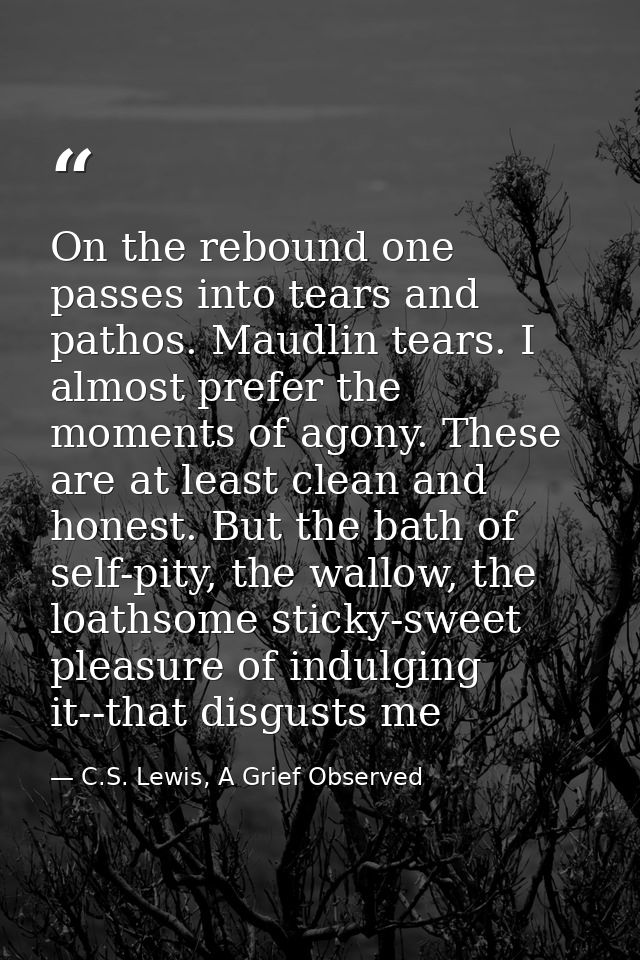 On the rebound one passes into tears and pathos. Maudlin tears. I almost prefer the moments of agony. These are at least — C.S. Lewis, A Grief Observed