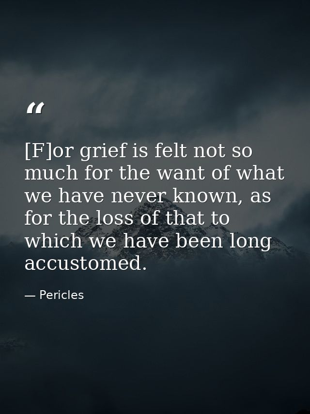 [F]or grief is felt not so much for the want of what we have never known, as for the loss of that to which we have been  — Pericles