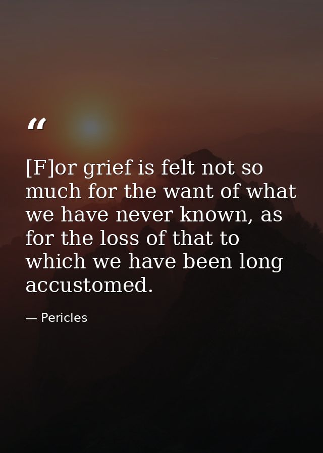 [F]or grief is felt not so much for the want of what we have never known, as for the loss of that to which we have been  — Pericles