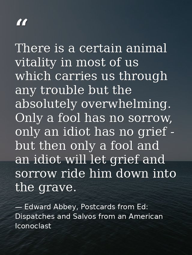 There is a certain animal vitality in most of us which carries us through any trouble but the absolutely overwhelming. O — Edward Abbey, Postcards from Ed: Dispatches and Salvos from an American Iconoclast