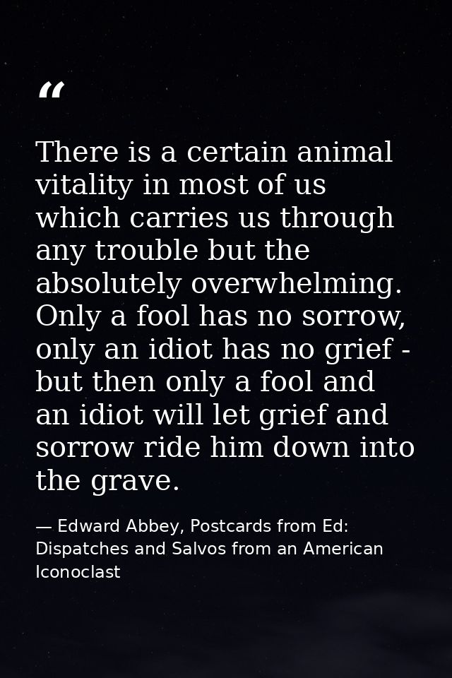 There is a certain animal vitality in most of us which carries us through any trouble but the absolutely overwhelming. O — Edward Abbey, Postcards from Ed: Dispatches and Salvos from an American Iconoclast