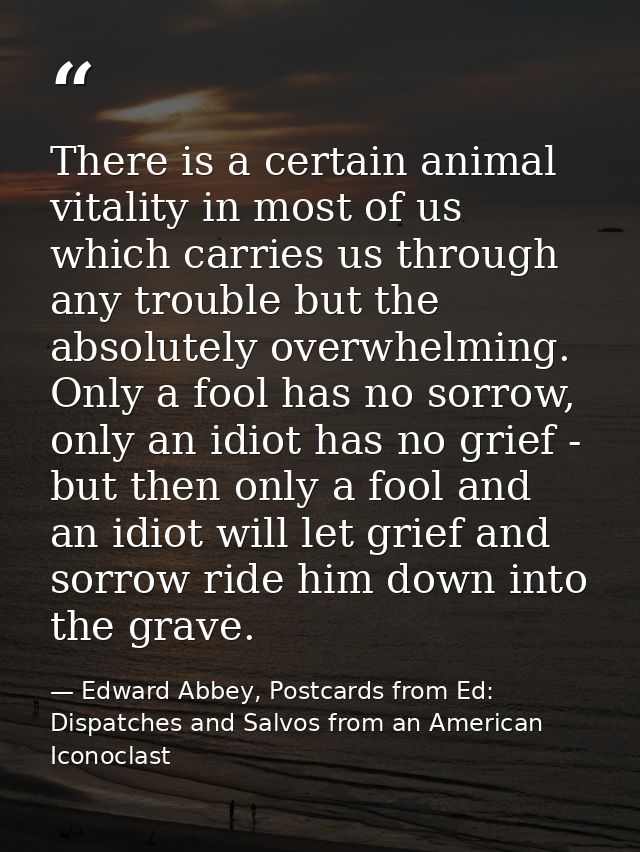 There is a certain animal vitality in most of us which carries us through any trouble but the absolutely overwhelming. O — Edward Abbey, Postcards from Ed: Dispatches and Salvos from an American Iconoclast