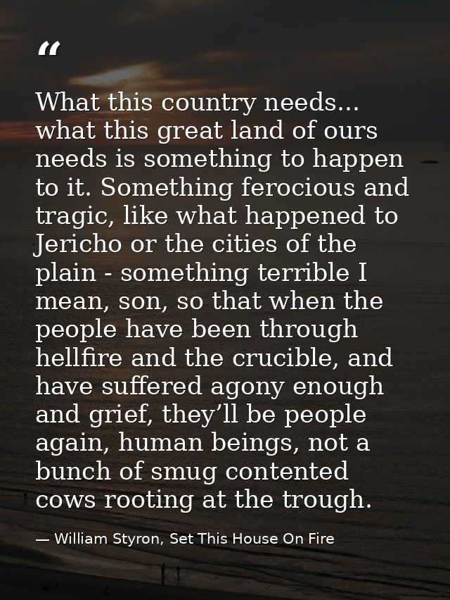 What this country needs... what this great land of ours needs is something to happen to it. Something ferocious and trag — William Styron, Set This House On Fire