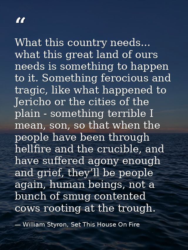 What this country needs... what this great land of ours needs is something to happen to it. Something ferocious and trag — William Styron, Set This House On Fire