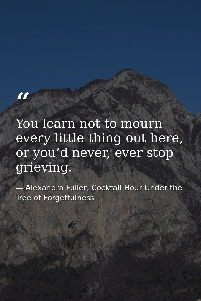 You learn not to mourn every little thing out here, or you’d never, ever stop grieving. — Alexandra Fuller, Cocktail Hour Under the Tree of Forgetfulness