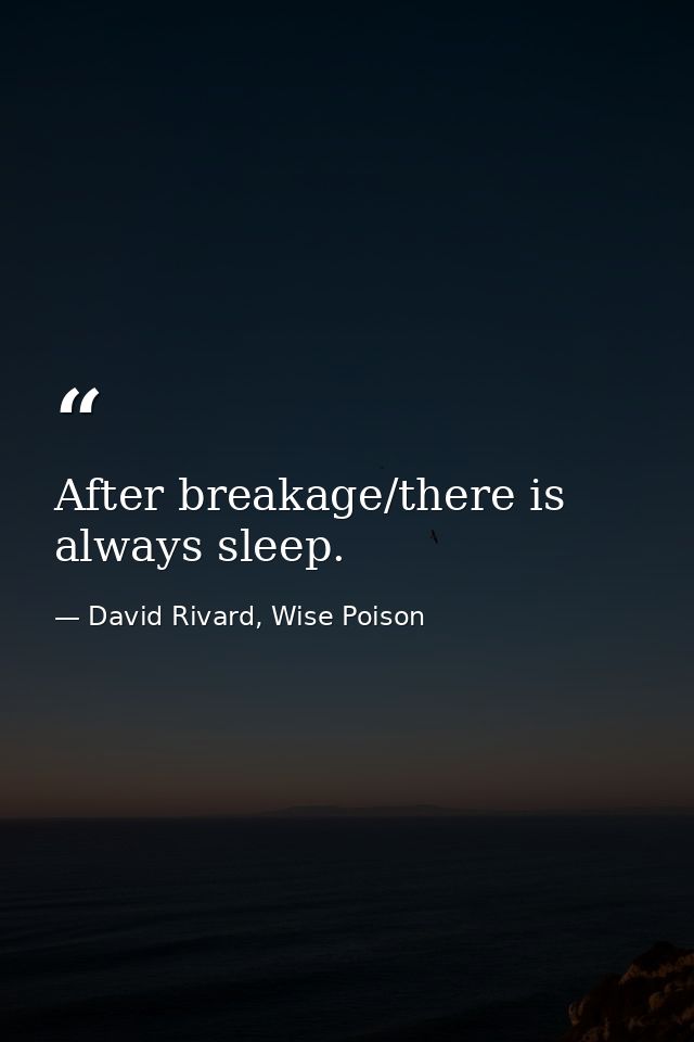 After breakage/there is always sleep. — David Rivard, Wise Poison