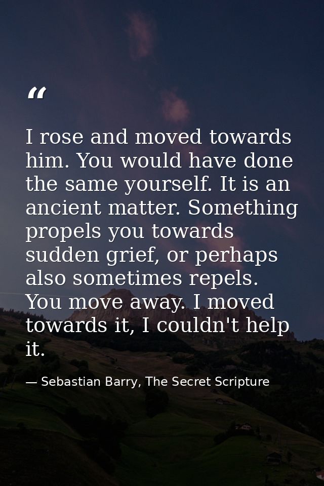 I rose and moved towards him. You would have done the same yourself. It is an ancient matter. Something propels you towa — Sebastian Barry, The Secret Scripture