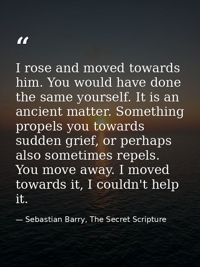 I rose and moved towards him. You would have done the same yourself. It is an ancient matter. Something propels you towa — Sebastian Barry, The Secret Scripture