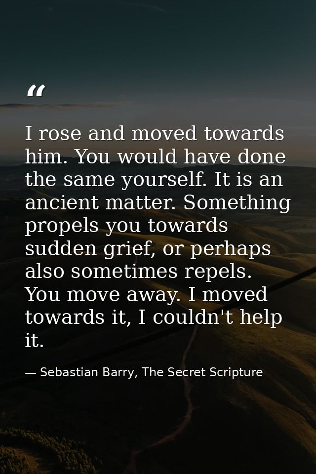 I rose and moved towards him. You would have done the same yourself. It is an ancient matter. Something propels you towa — Sebastian Barry, The Secret Scripture