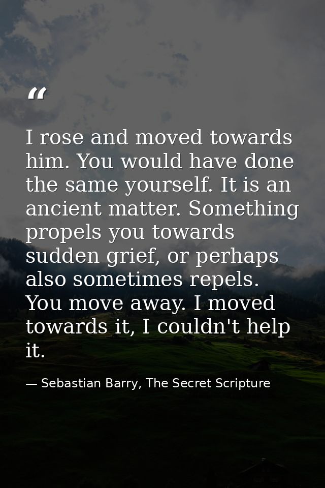 I rose and moved towards him. You would have done the same yourself. It is an ancient matter. Something propels you towa — Sebastian Barry, The Secret Scripture