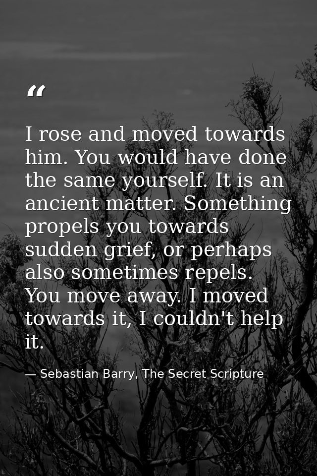 I rose and moved towards him. You would have done the same yourself. It is an ancient matter. Something propels you towa — Sebastian Barry, The Secret Scripture