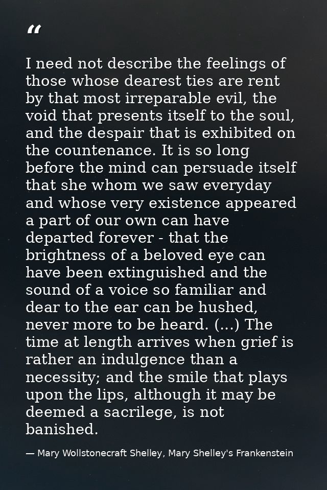 I need not describe the feelings of those whose dearest ties are rent by that most irreparable evil, the void that prese — Mary Wollstonecraft Shelley, Mary Shelley's Frankenstein