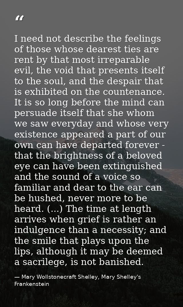 I need not describe the feelings of those whose dearest ties are rent by that most irreparable evil, the void that prese — Mary Wollstonecraft Shelley, Mary Shelley's Frankenstein