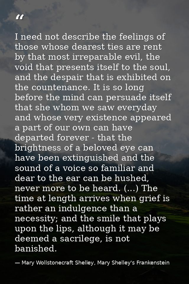 I need not describe the feelings of those whose dearest ties are rent by that most irreparable evil, the void that prese — Mary Wollstonecraft Shelley, Mary Shelley's Frankenstein