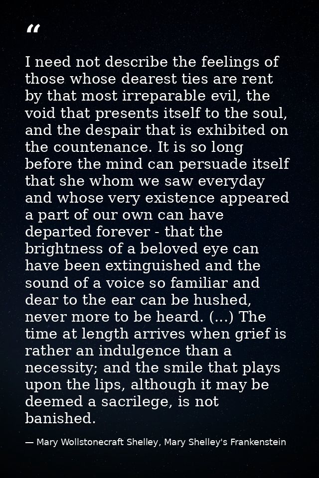 I need not describe the feelings of those whose dearest ties are rent by that most irreparable evil, the void that prese — Mary Wollstonecraft Shelley, Mary Shelley's Frankenstein