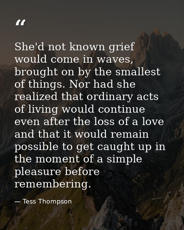 She'd not known grief would come in waves, brought on by the smallest of things. Nor had she realized that ordinary acts — Tess Thompson