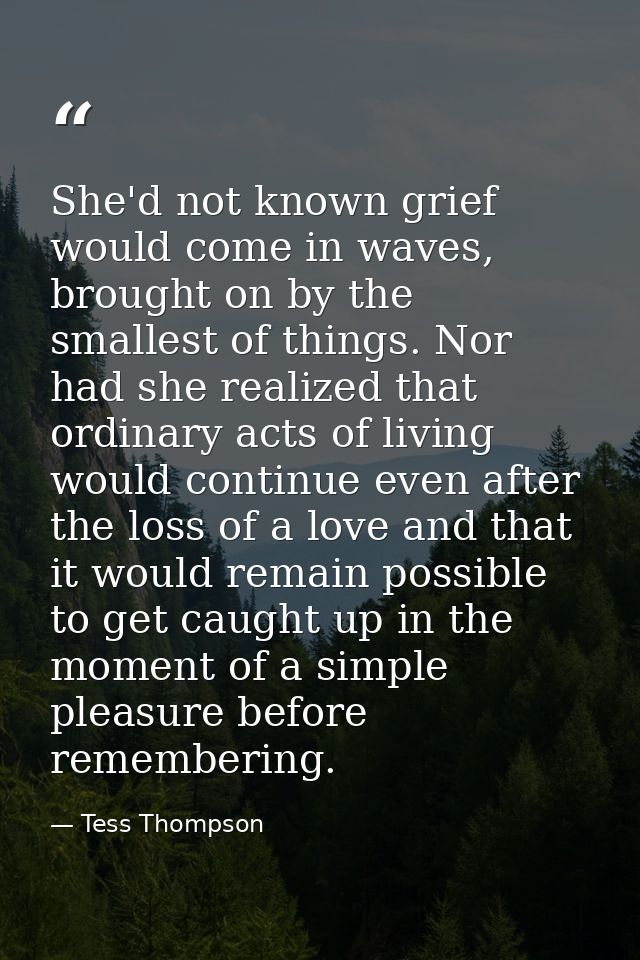 She'd not known grief would come in waves, brought on by the smallest of things. Nor had she realized that ordinary acts — Tess Thompson
