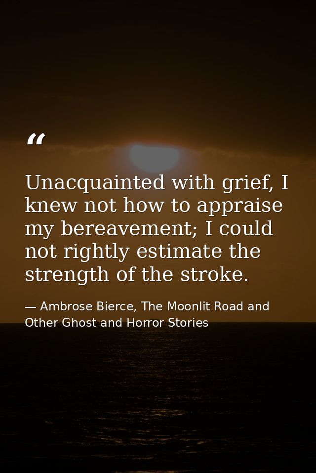 Unacquainted with grief, I knew not how to appraise my bereavement; I could not rightly estimate the strength of the str — Ambrose Bierce, The Moonlit Road and Other Ghost and Horror Stories