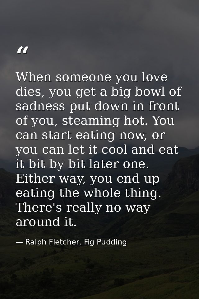 When someone you love dies, you get a big bowl of sadness put down in front of you, steaming hot. You can start eating n — Ralph Fletcher, Fig Pudding