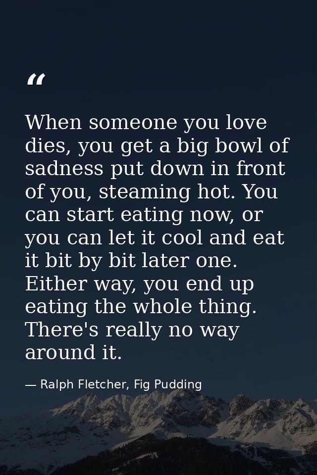 When someone you love dies, you get a big bowl of sadness put down in front of you, steaming hot. You can start eating n — Ralph Fletcher, Fig Pudding